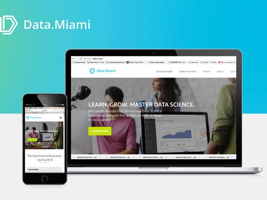Data.Miami website